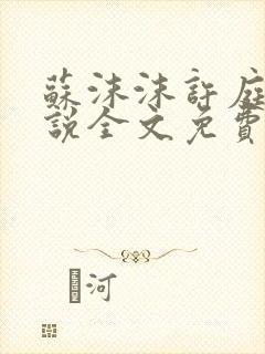 苏沫沫许庭川小说全文免费阅读