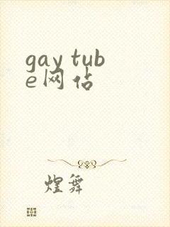 gay tube网站