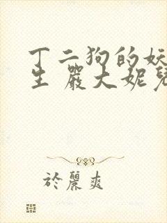 丁二狗的妖孽人生 严大妮儿 小说