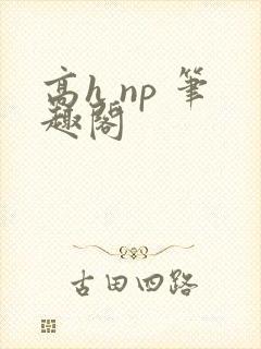 高h np 笔趣阁