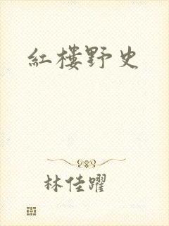 红楼野史