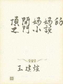 顶开妈妈的生命之门小说