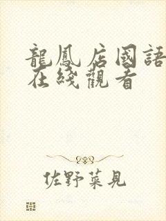 龙凤店国语高清在线观看