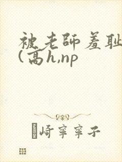 被老师羞耻调教(高h,np封面