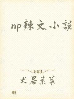 np辣文小说