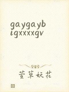 gaygaybigxxxxgv