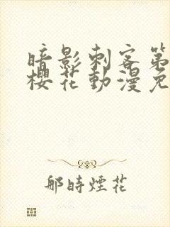 暗影刺客第4季樱花动漫免费观看