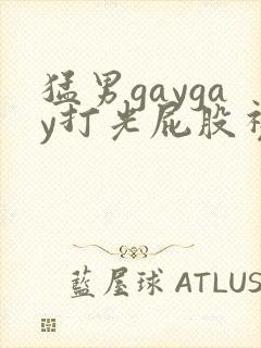 猛男gaygay打光屁股视频