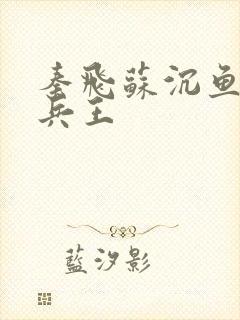 秦飞苏沉鱼绝代兵王