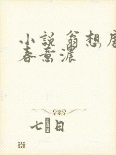 小说 翁想房中春意浓