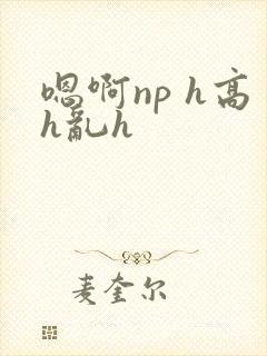 嗯啊np h高h乱h