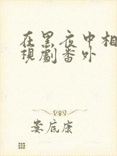 在黑夜中相拥电视剧番外封面