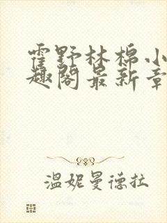 霍野林棉小说笔趣阁最新章节更新