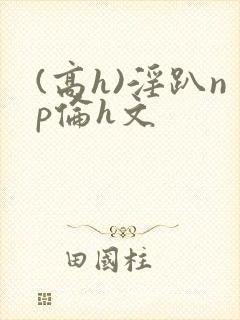 (高h)淫趴np伦h文