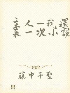 主人—我还想再来一次小说免费阅读