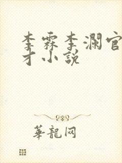 李霖李澜官场奇才小说