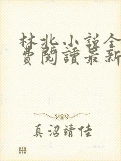 林北小说全文免费阅读最新章节封面