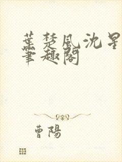 叶楚风沈星岚2笔趣阁