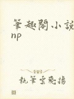 笔趣阁小说高hnp