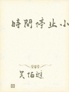 时间停止小说