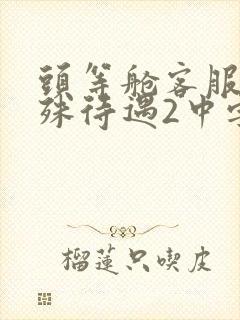 头等舱客服的特殊待遇2中字