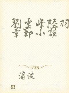 刘云峰陆羽最新章节小说