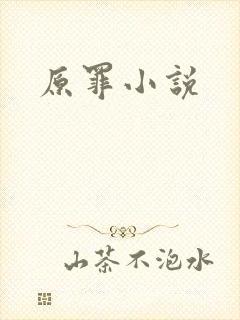 原罪小说