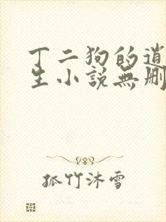 丁二狗的逍遥人生小说无删减