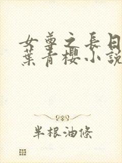 女尊之长日光明叶青樱小说笔趣阁