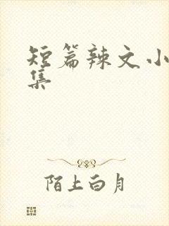 短篇辣文小说合集