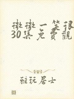 微微一笑很倾城30集免费观看超清