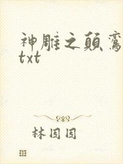 神雕之颠鸾倒凤txt