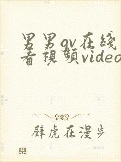男男gv在线观看视频video