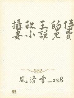 摄政王的侍爱逃妻小说免费阅读