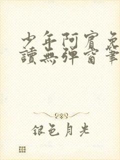 少年阿宾免费阅读无弹窗笔趣阁封面