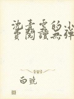 沈青云的小说免费阅读无弹窗全文最新章节