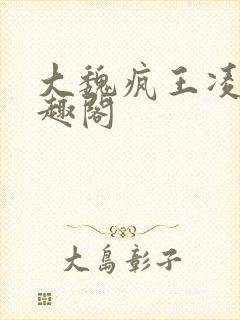 大魏疯王凌宁笔趣阁