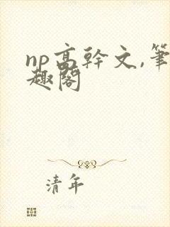 np高干文,笔趣阁封面
