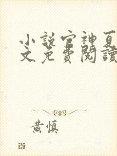 小说官神夏想全文免费阅读完整版封面