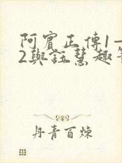 阿宾正传1—72与钰慧趣笔阁txt