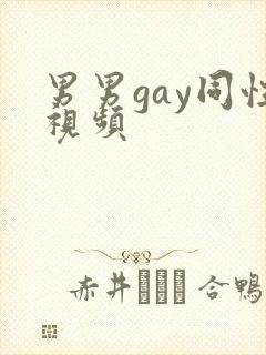 男男gay同性视频封面