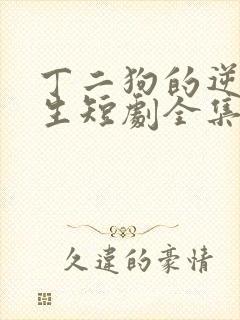 丁二狗的逆袭人生短剧全集