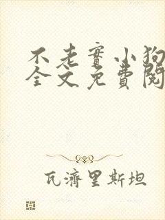 不老实小狗沈渡全文免费阅读最新章