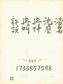 许冉冉沈浩然小说叫什么名字