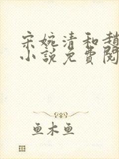 宋婉清和赵振国小说免费阅读无弹窗封面