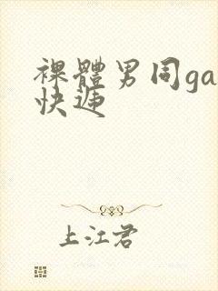 裸体男同gay快递