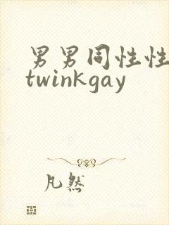 男男同性性行为twinkgay