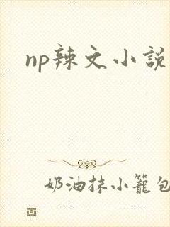np辣文小说封面