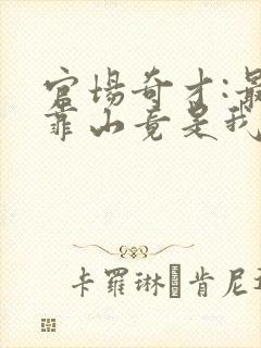 官场奇才:最强靠山竟是我自己李澜