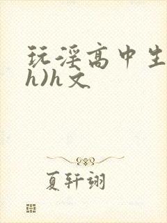 玩淫高中生(高h)h文